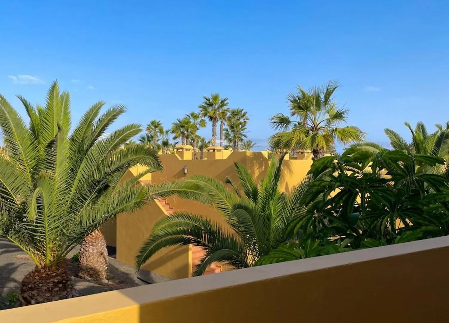 Oasi Tropical Wifi Free By Rentalfue Corralejo Lägenhet
