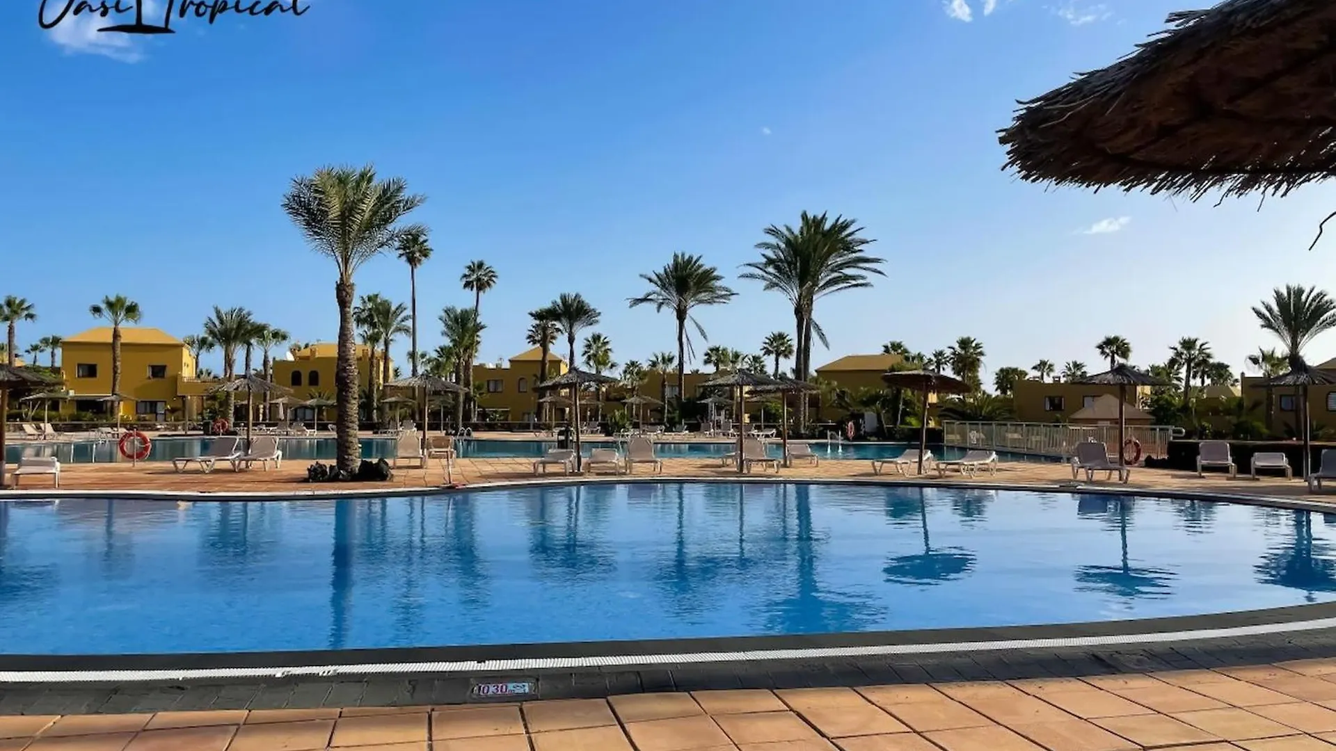 Lägenhet Oasi Tropical Wifi Free By Rentalfue Corralejo