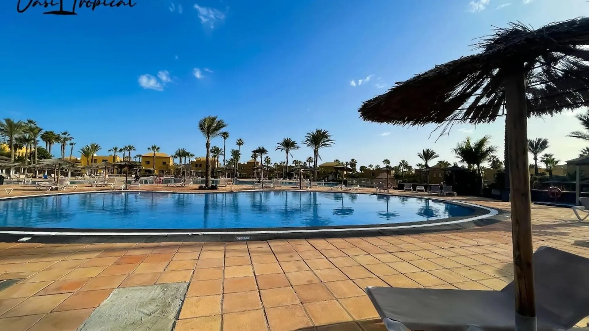 Oasi Tropical Wifi Free By Rentalfue Corralejo Spanien