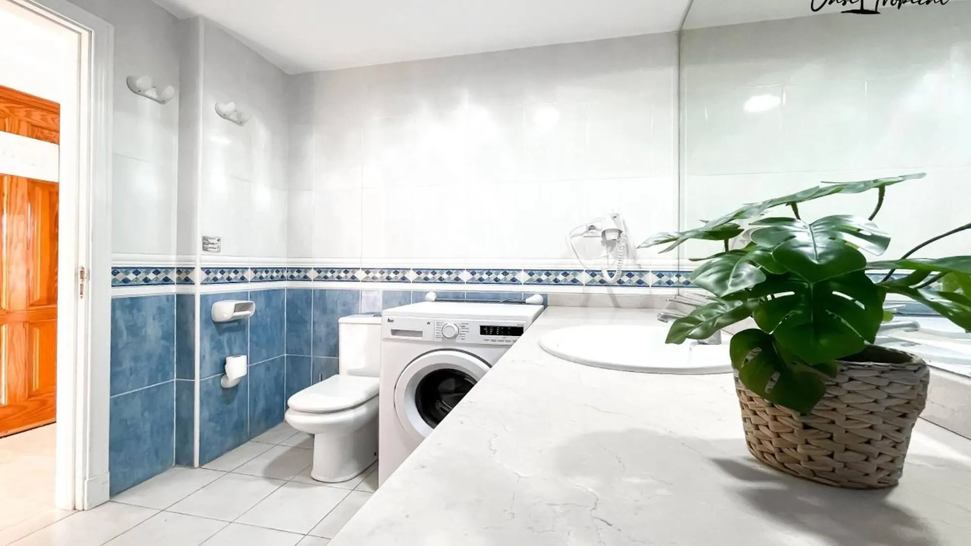 Oasi Tropical Wifi Free By Rentalfue Corralejo
